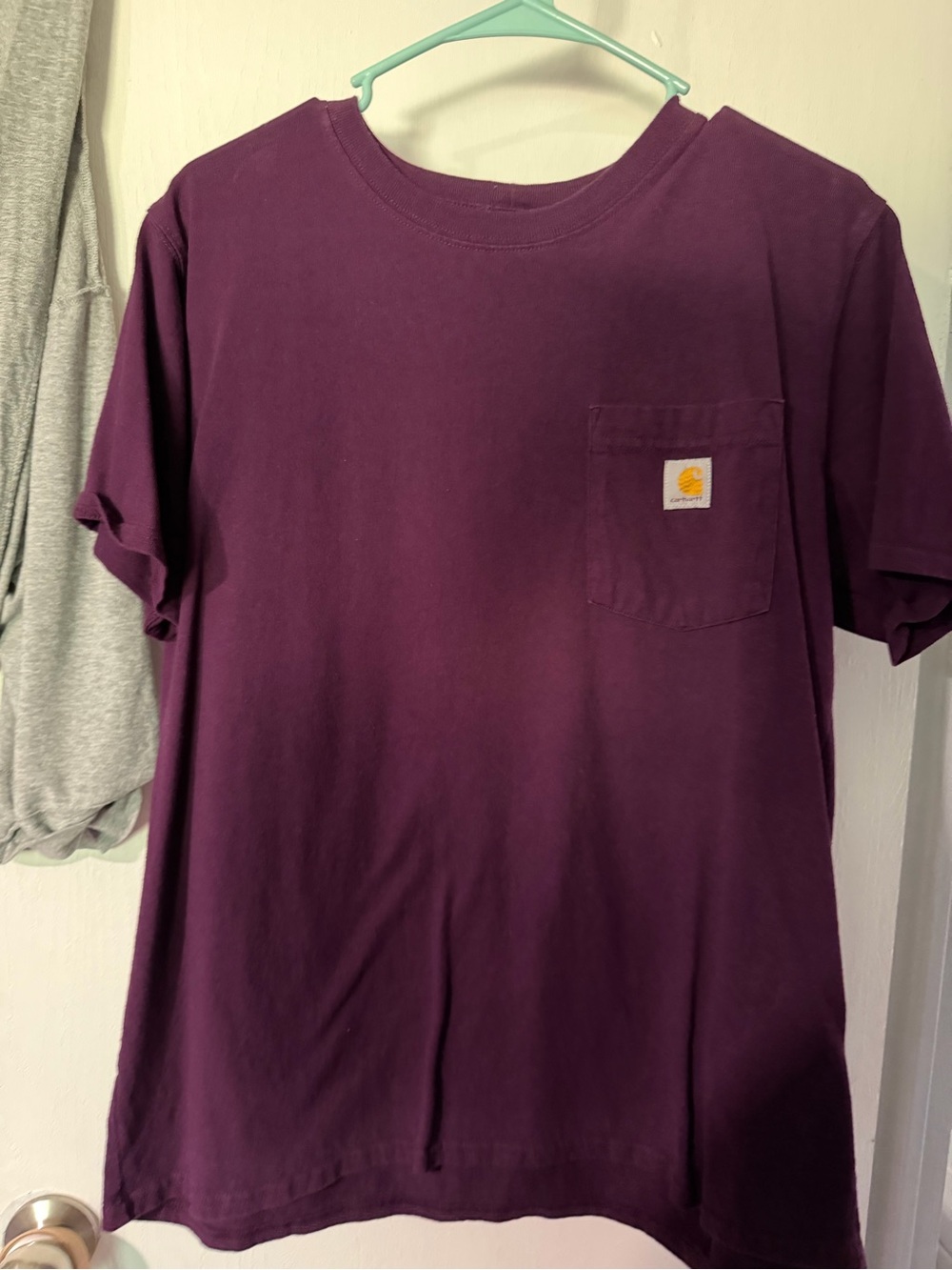 Carhartt Short Sleeve Pocket Tee in Plum